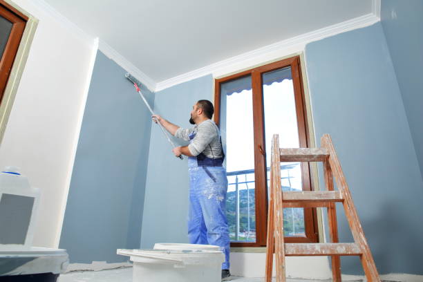 Best Post-Construction Mold Inspection  in Hoisington, KS