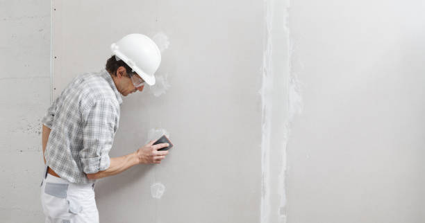 Best Asbestos and Lead Testing During Mold Inspection  in Hoisington, KS