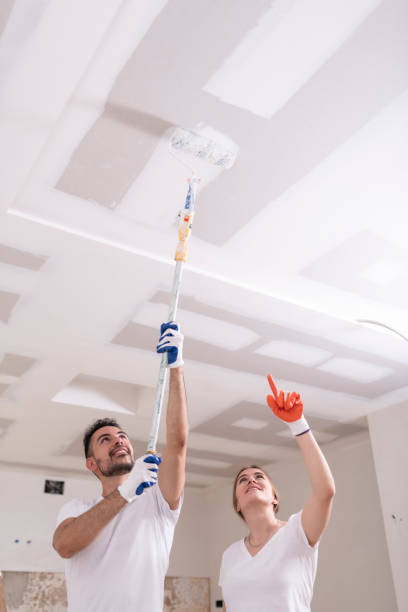Best Comprehensive Air Testing for Mold Contaminants  in Hoisington, KS