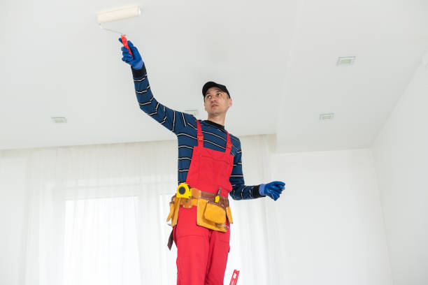 Trusted Hoisington, KS Mold Removal Experts