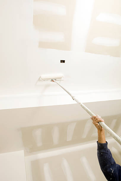  Hoisington, KS Mold Removal Pros