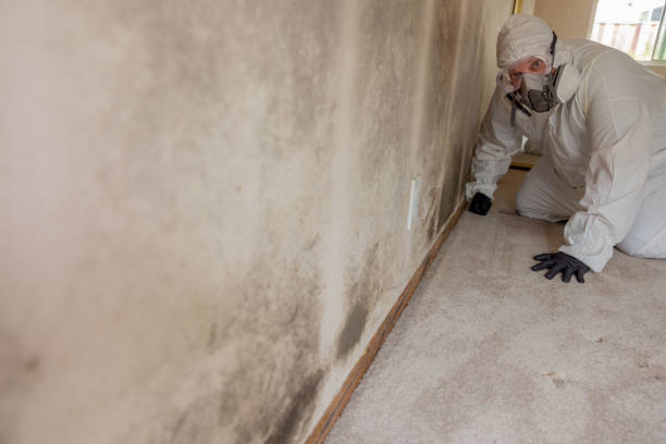 Best Mold Documentation for Insurance Claims  in Hoisington, KS