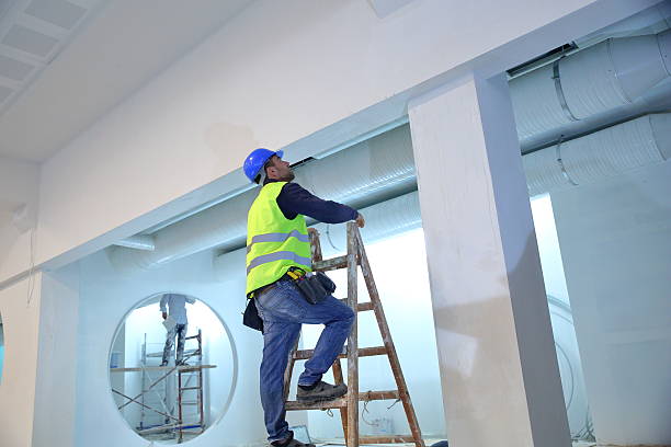 Best Water Damage & Mold Remediation  in Hoisington, KS