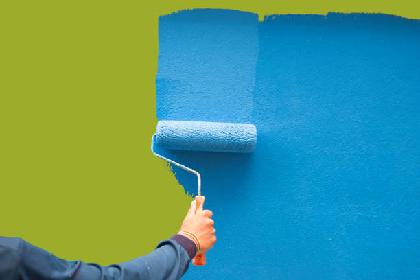 Best Environmental Consulting for Mold Prevention  in Hoisington, KS
