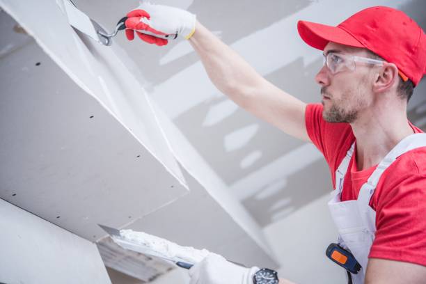 Best Commercial Mold Inspection  in Hoisington, KS