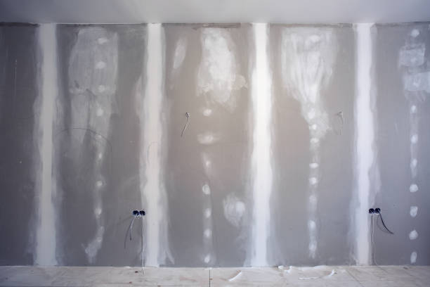 Best Emergency Mold Remediation  in Hoisington, KS