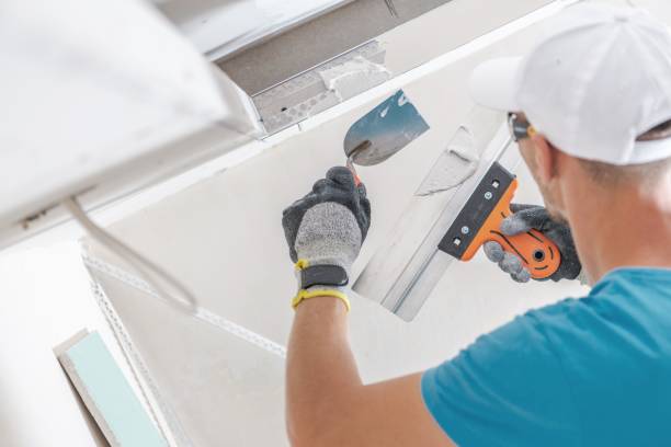 Best Forensic Mold Investigation  in Hoisington, KS